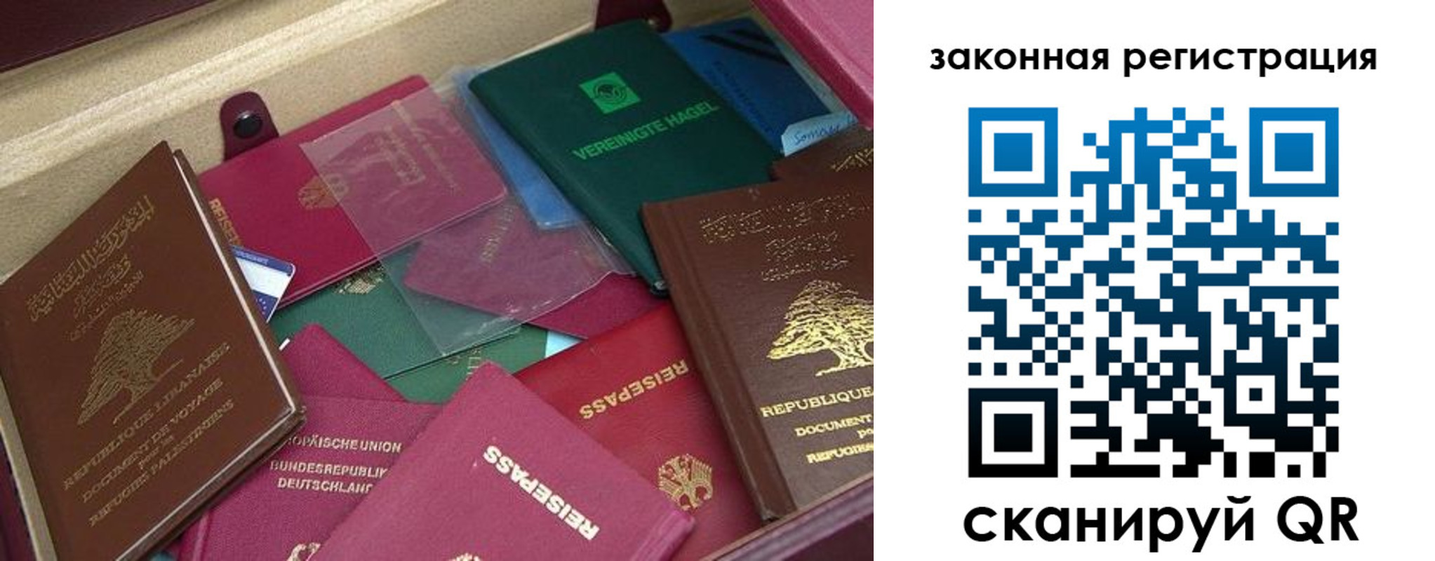 купить прописку в Звенигороде